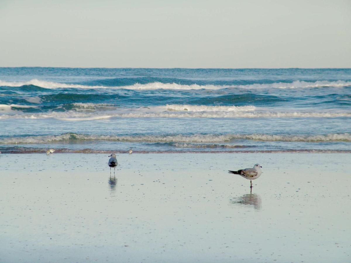 هامبتون إن دايتونا بيتش شورز Daytona Beach Shores المظهر الخارجي الصورة